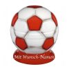 Metall Fußball Urne - (rot/weiß)